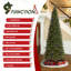 Sapin de Noël vert Aldred Radiant Evergreen-1684586857
