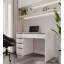 Arto 120 cm Desk with 5 Drawers