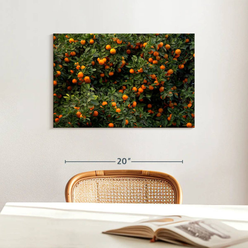 Oranges Harnek Valencia, H 16 po x l 24 po