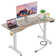 Masakazu Height Adjustable Standing Desk with Built-in Outlets,4 Lockable Casters, 2 Hooks