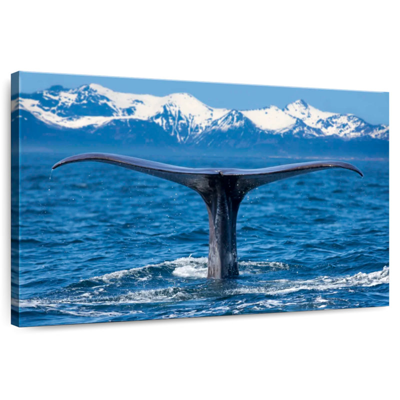 Brampt Monterey Bay Whale, 24" H x 36" W