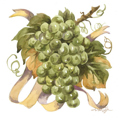 " Watercolor Grapes II " by Jerianne Van Dijk Painting Print