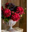 Tige de dahlia-1377937018