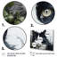 Chat mystérieux I - impression-1551956072-1551956073