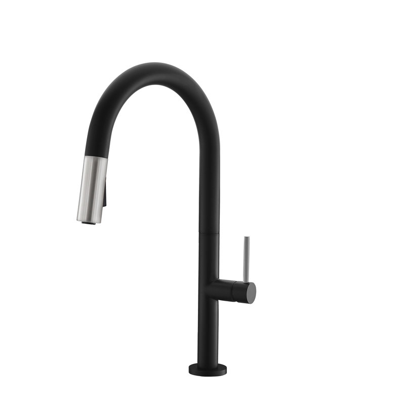Catania Modern Single Handle Kitchen Faucet, Noir mat/nickel brossé