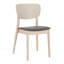 Ensemble de 2 chaises d'appoint Modern