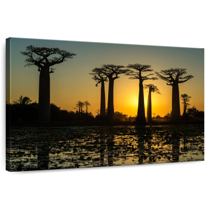 Harnek Silhouetted Morondava Baobab Trees, 20" H x 30" W
