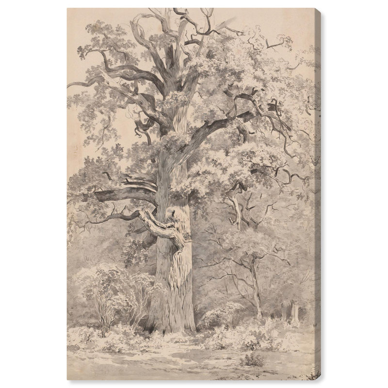 Giant Oak at Forest Vintage Landscape Canvas Art, 10" x 15"