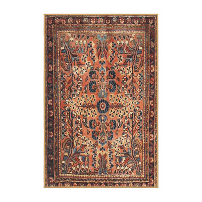 Oriental Indoor Rug