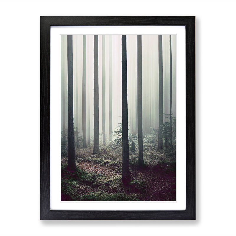 A Quiet Forest - Print, 66cm H x 48cm W x 2cm D, Black Framed, White