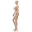 Glass Statue Decorative Object
