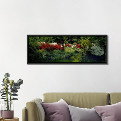" High Angle View Of Flowers In A Garden, Baltimore, Maryland, USA " Color Photography