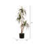 Arbre de luxe en pot Marginata