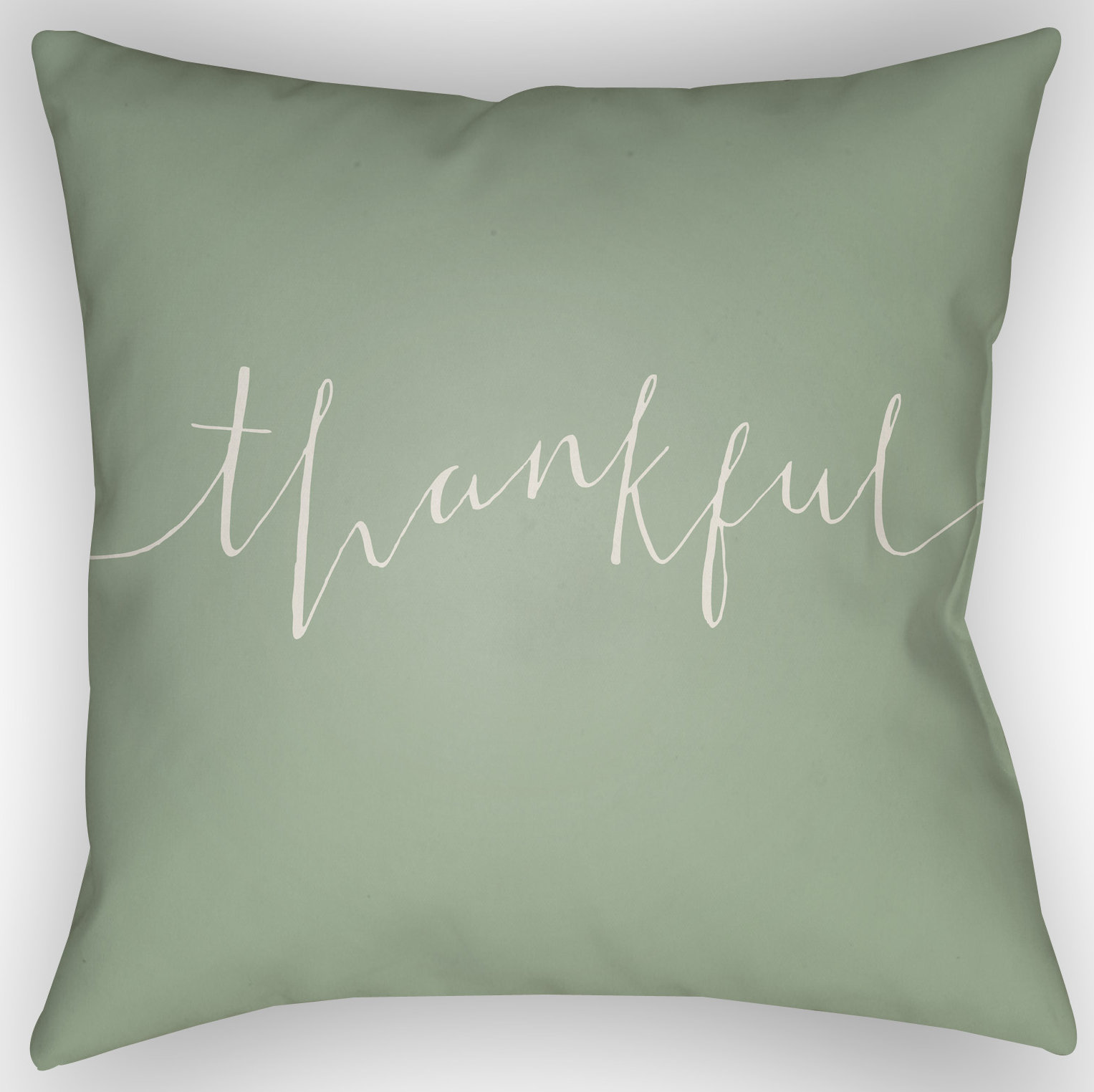 Thankful Indoor/Outdoor Throw Pillow