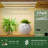 Surovy Plant Stand 6 Tier