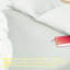 Ensemble de draps, ensemble de draps en microfibre brossée 1800 avec poche profonde - NTBAY-1267323141-1267323164