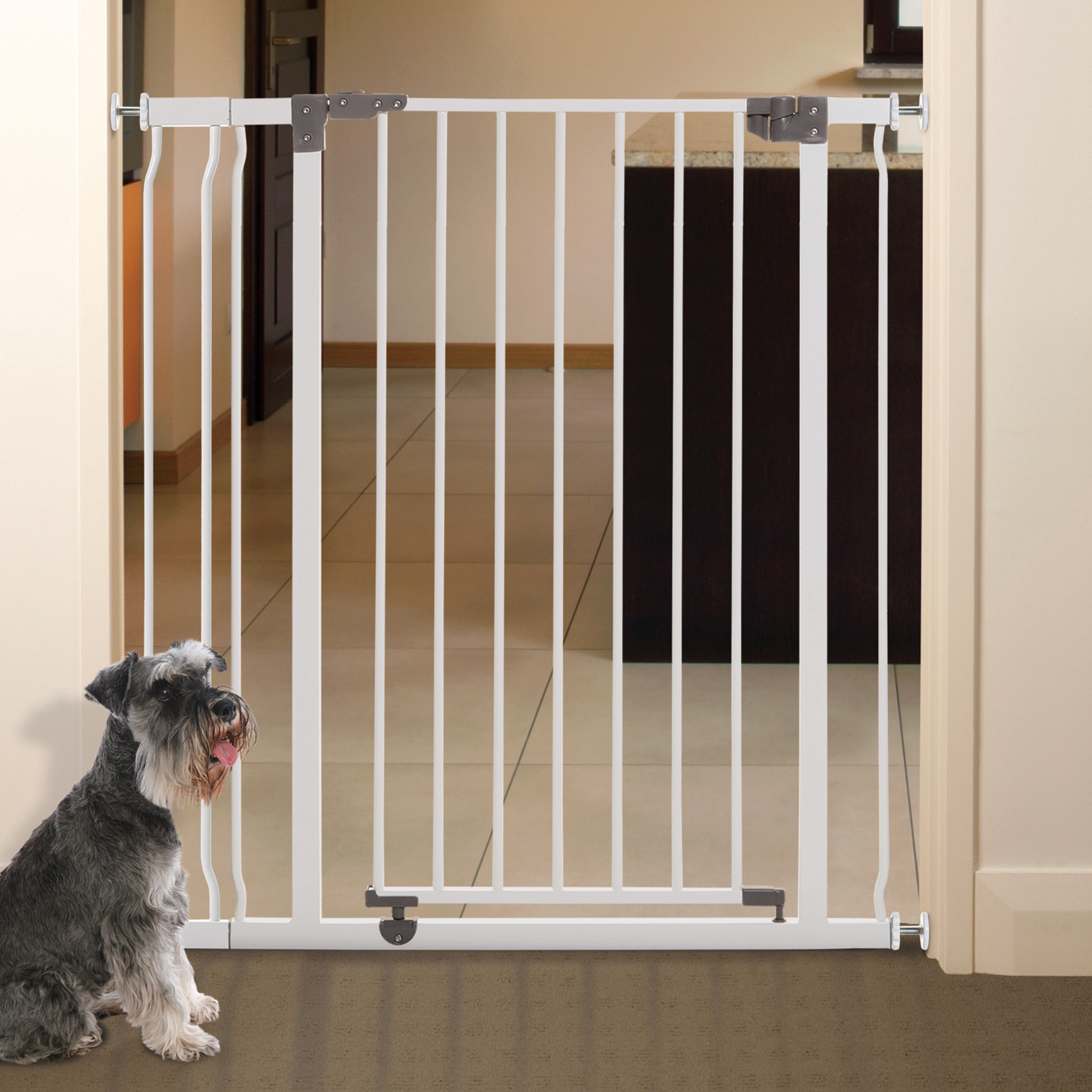 Dreambaby Liberty Safety Gate & Reviews | Wayfair