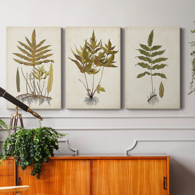 Fern Botanical I - Ensemble de 3 peintures sur toile tendue