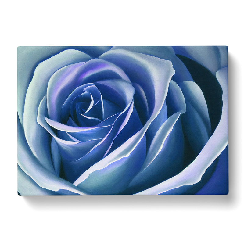 Dreamlike Rose Flower - Wrapped Canvas, 50cm H x 76cm W x 3cm D