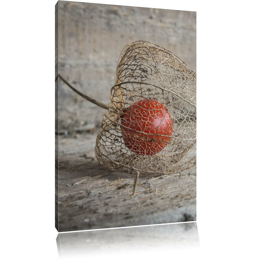 Leinwandbild Physalis, Fotodruck