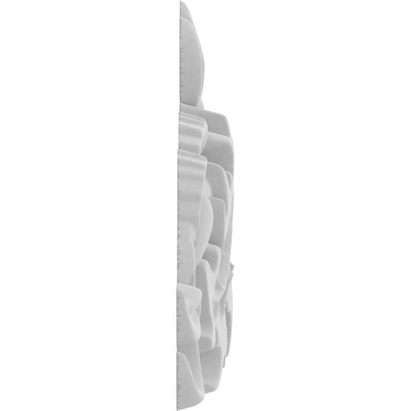 Rosette Lost Springs, H 4,5 po x l 4,5 po x P 0,63 po