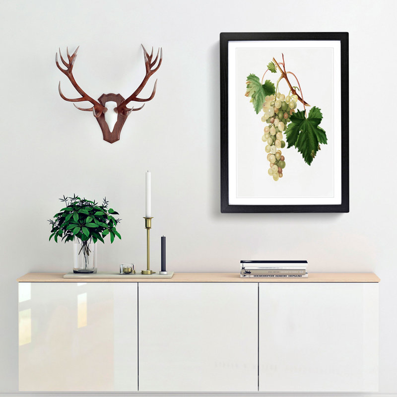 Muscat Grapes by Giorgio Gallesio - Picture Frame Painting Print, Black Framed, 36cm H x 27cm W x 2cm D