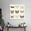 « Butterfly BW 9 patch » par Debra Van Swearingen-impression-1954175067-1954175066