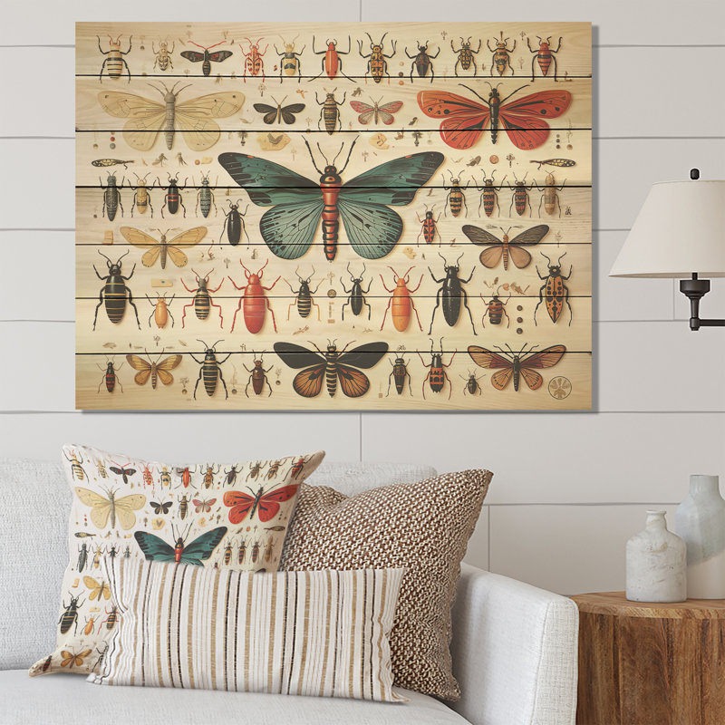 Insectes et insectes orange et bleus - Insectes et insectes sur bois, H 10 po x l 20 po x P 0,78 po