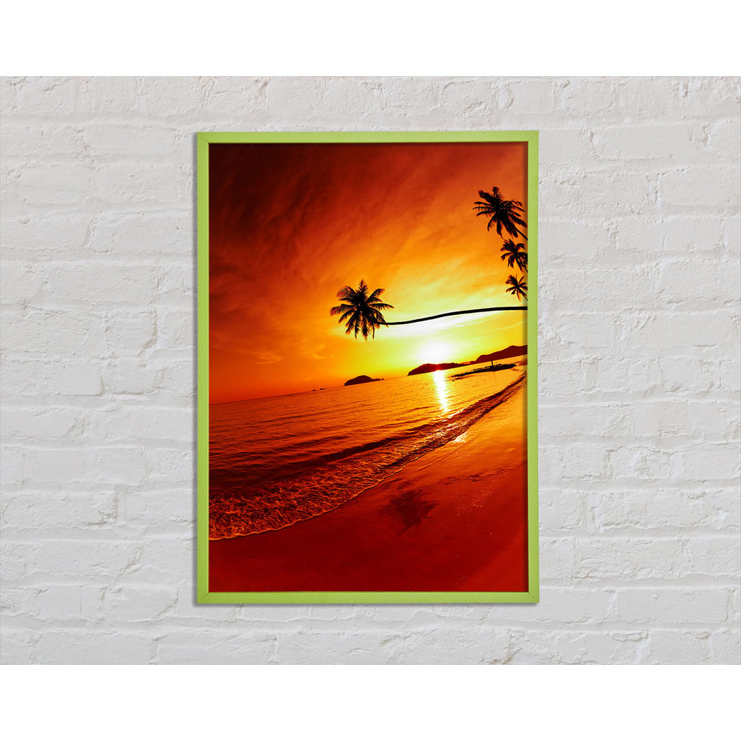 Gerahmtes Bild Ocean Sunset Palm