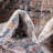 Giampiera Oriental Indoor Rug-2052312443