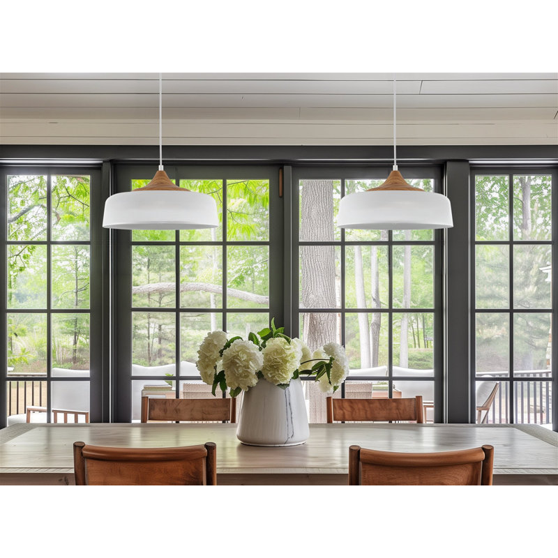 Deylin 1 - Light Dome Pendant