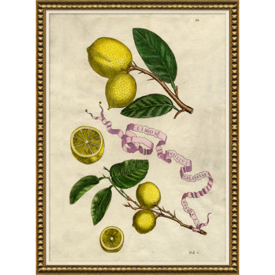 «Lemons and Ribbons», reproduction de cadre photo