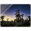 Joshua Tree, reproduction d'art, paysage mural, affiche sur toile de parc national de Joshua Tree, œuvre de paysage de désert de cactus-87055145