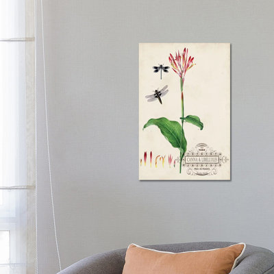 Canna And Dragonflies by Vision Studio - Wrapped Canvas Gallery-Wrapped Canvas Giclée