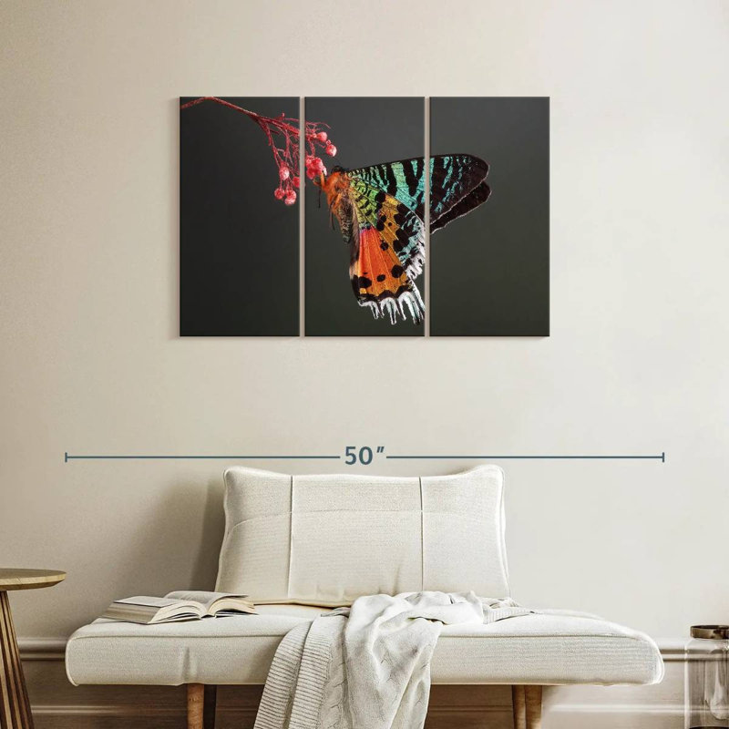 Papillon de nuit malgache, H 24 po x l 38 po