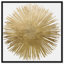 Sunburst Adore - impression-72508286-119405847-72508280