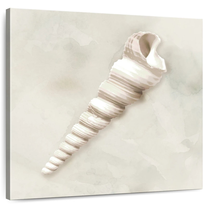 Aletra Soft Sand And Shell III