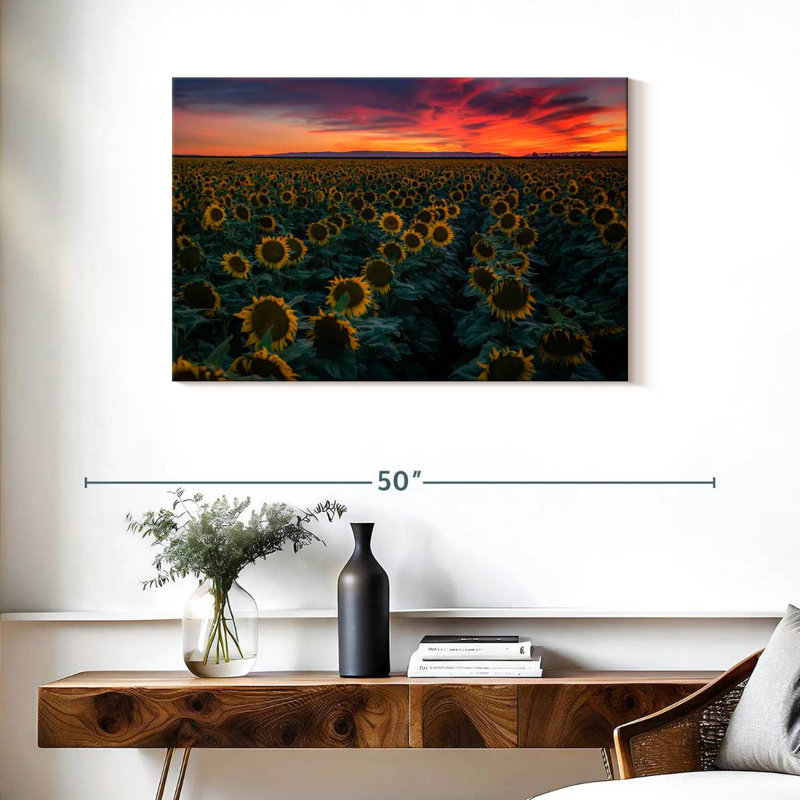 Alvord Sunflower Field Rows
