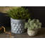 Potomac Handmade Planter-1573380988