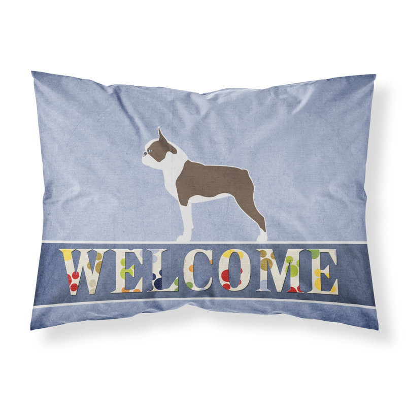 Microfiber, Boston Terrier