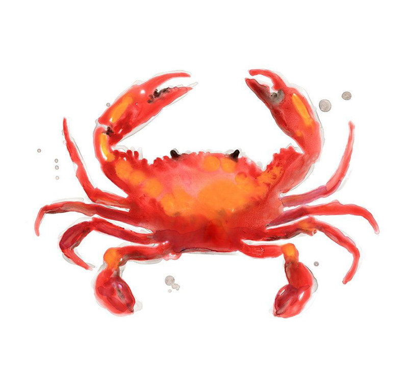 «Dovecove Vess, June Erica», reproduction d'art sur toile tendue: Crabe camée, H 15 po x l 18 po
