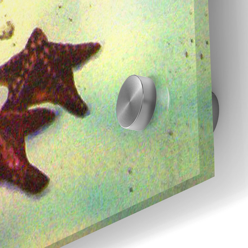 «Stary Stary Nite» par Murray Henderson, art mural en verre acrylique, H 36 po x l 24 po x P 0,2 po