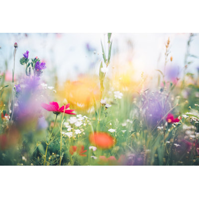 Colourful Meadow 1 Piece Wall Art on Canvas