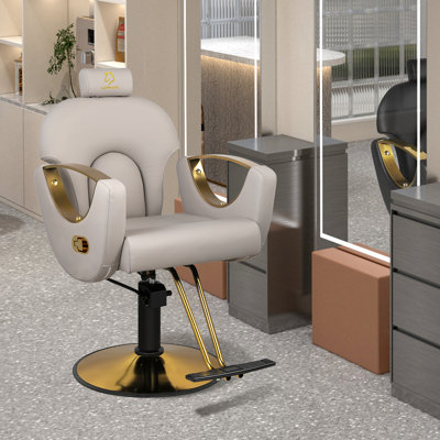 Barber Chair Reclining Salon Chair Height Adjustable Hydraulic Barber Chairs Salon Hydraulic Recliner Chair Hydraulic Pump Profession Shampoo Chair Beauty Salon (Graynew)