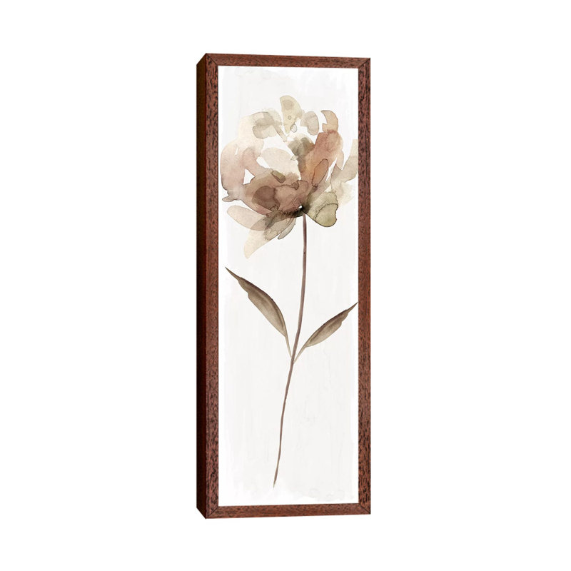 Neutral Bloom II by Carol Robinson - Panoramic Print on Canvas, Classic Brown Wood Framed, 30.48 cm H x 91.44 cm W