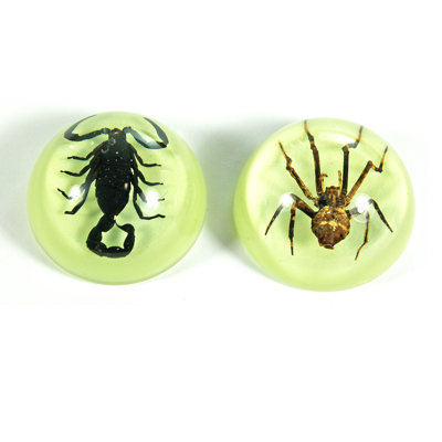 Ragin Animals Figurines & Sculptures