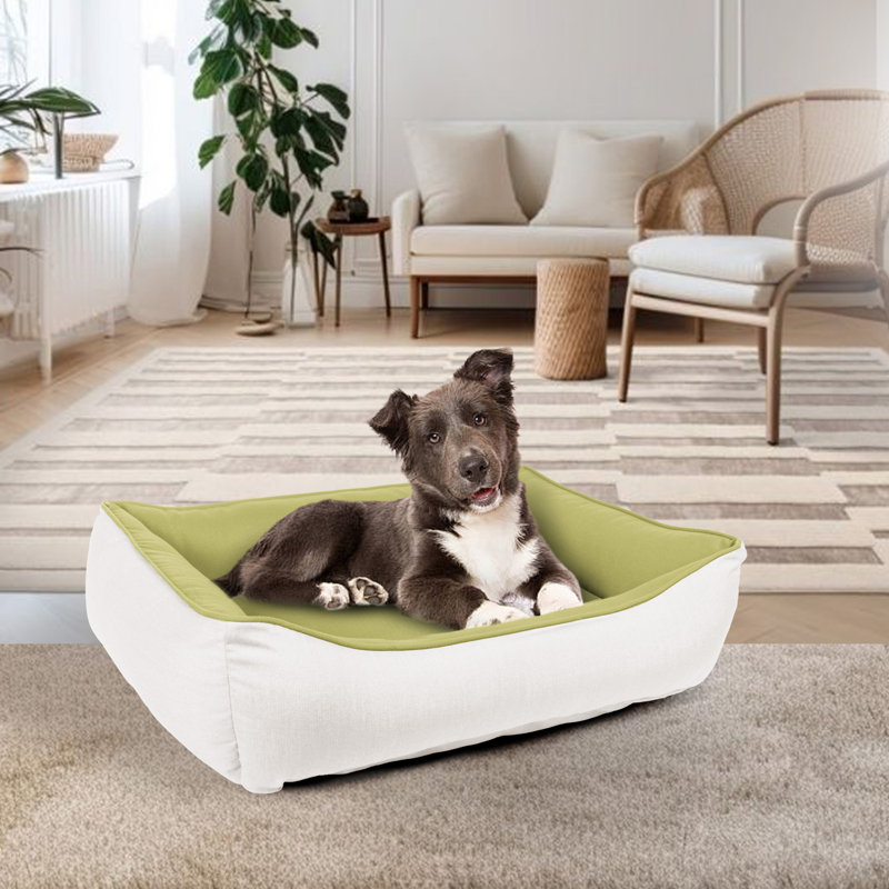 Lit pour animaux Sunbrella, H 13 po x l 42 po x P 54 po, Vert