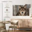 Loup gris Brampt-107698542