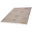 Tapis tissé à la main intérieur / extérieur 4 x 6 po et collection - Teinture, sans perte de poils, animal de compagnie et espace pour une vie élégante