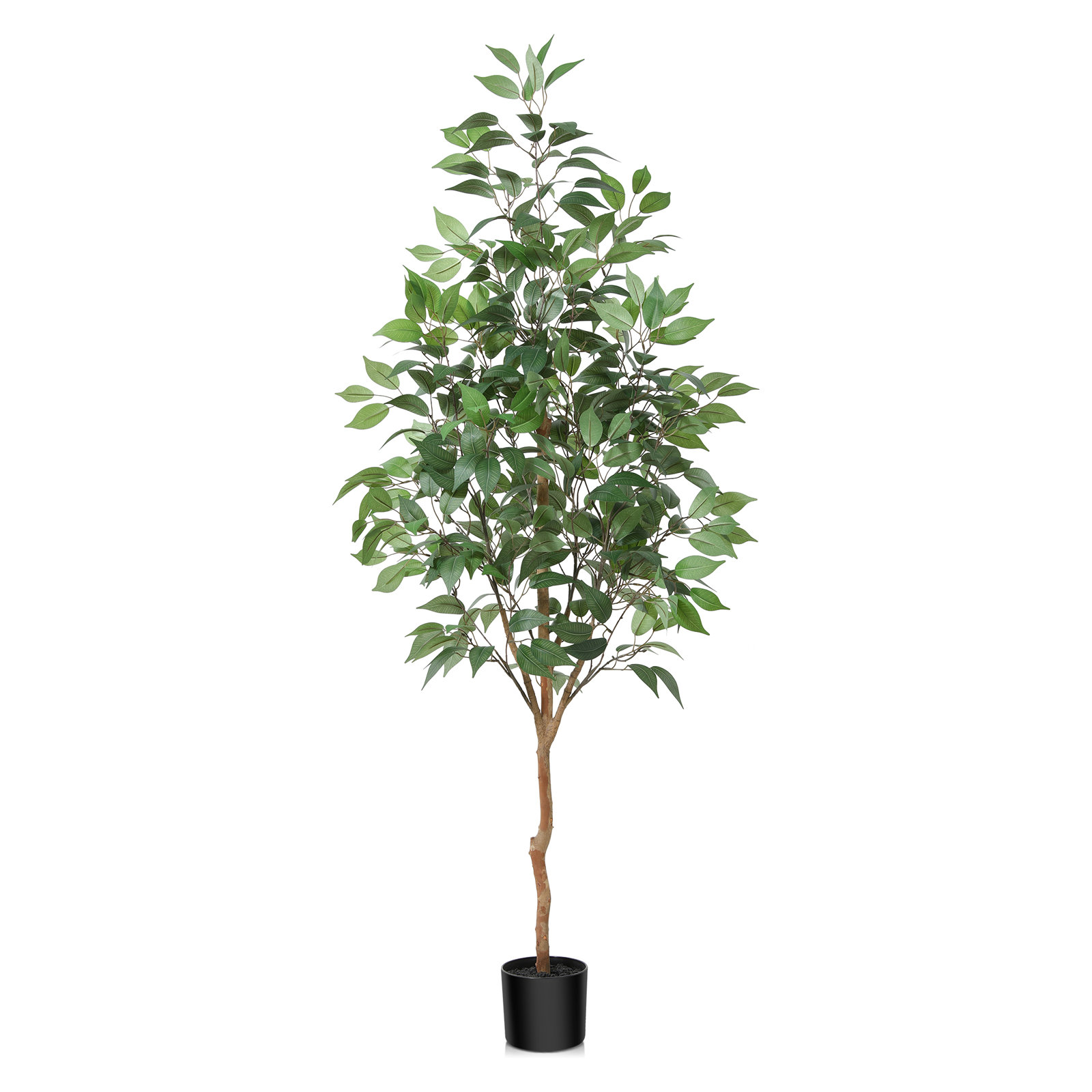 Adcock Ficus Tree in Pot, 59" H x 15" W x 15" D